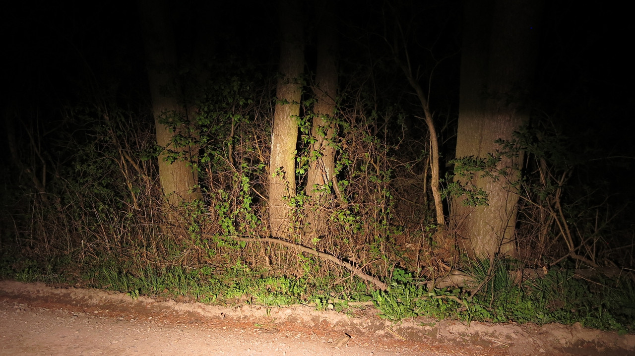 57 Fenix BC35R 1 (Copy)