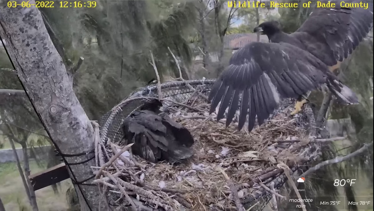 66414A67-5429-4C48-B53A-F34D6772B934