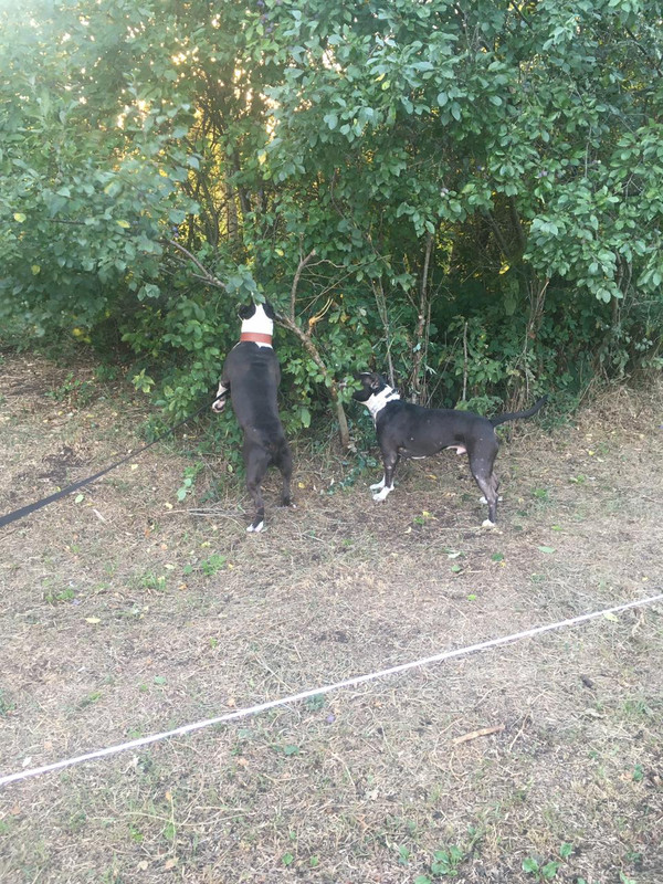 77B1D6C5-E64D-49B1-A0B6-808C6E43BC1C