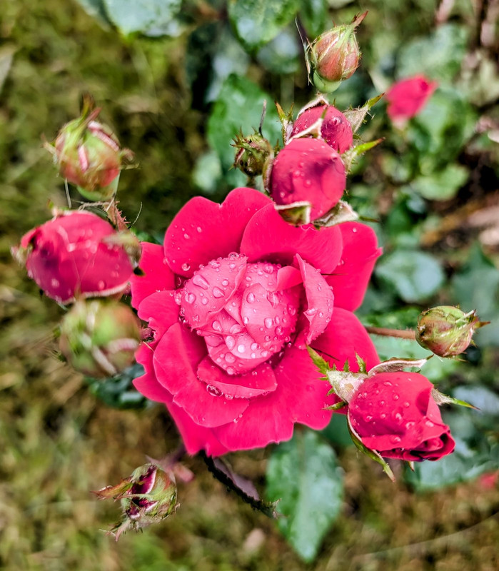 PXL_20240717_095500670.MP~2