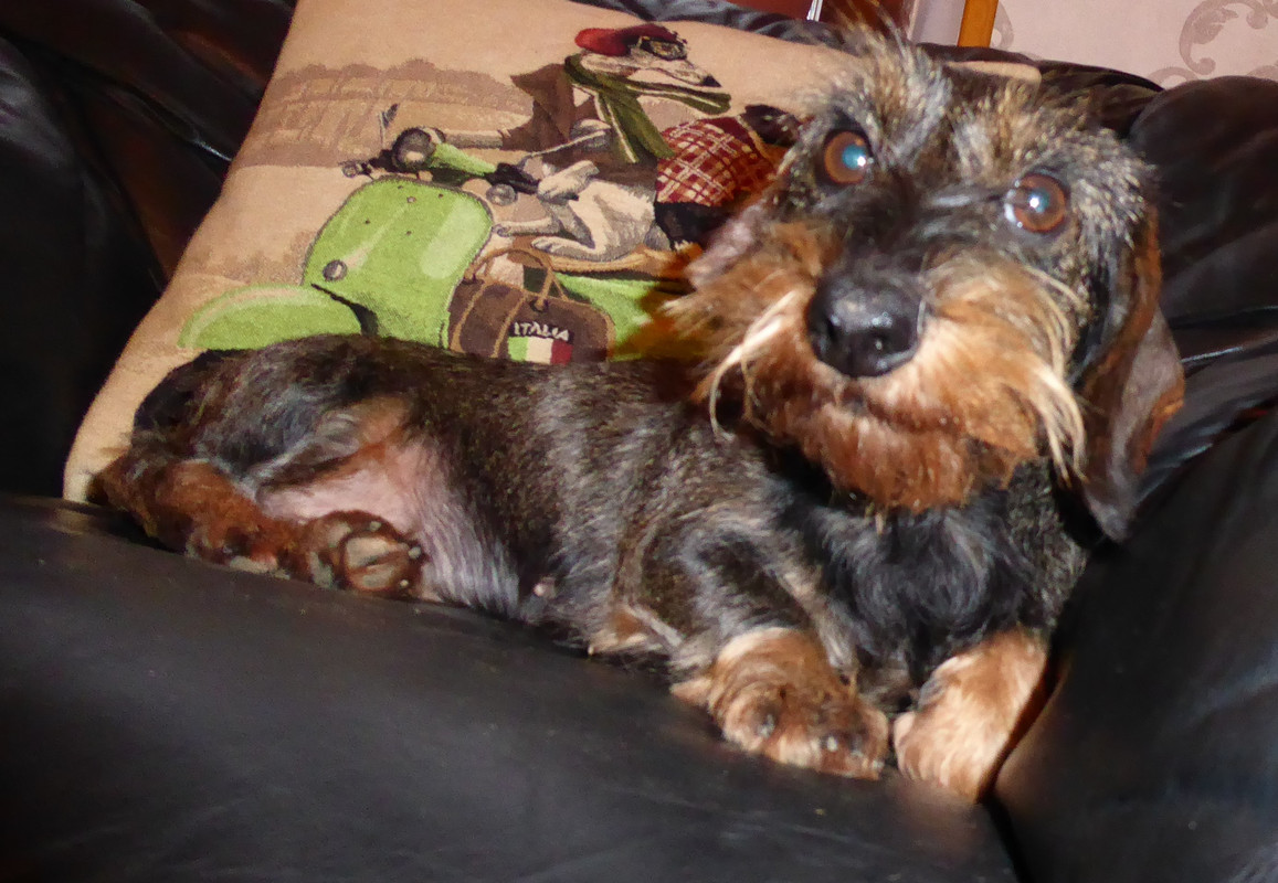 [Image: P1040615.jpg]