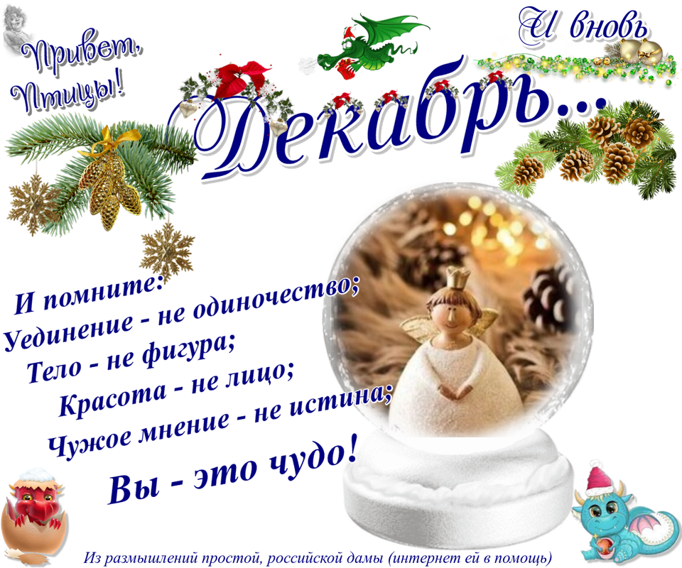 https://i.postimg.cc/mgknxjhn/31-12-2.png