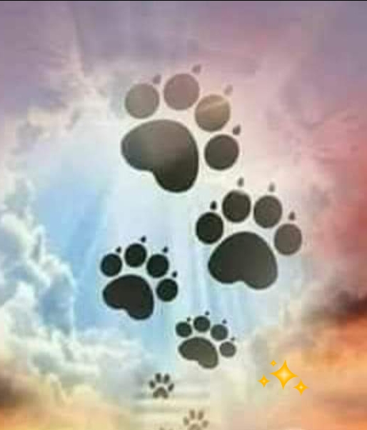 [Image: 20230414-133417.jpg]