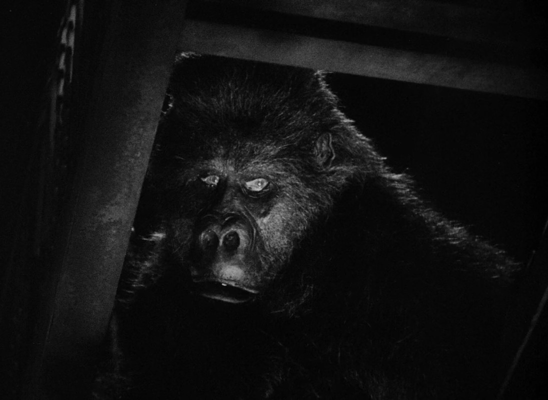 EL MONSTRUO Y LA CHICA.mkv_snapshot_00.58.47.772