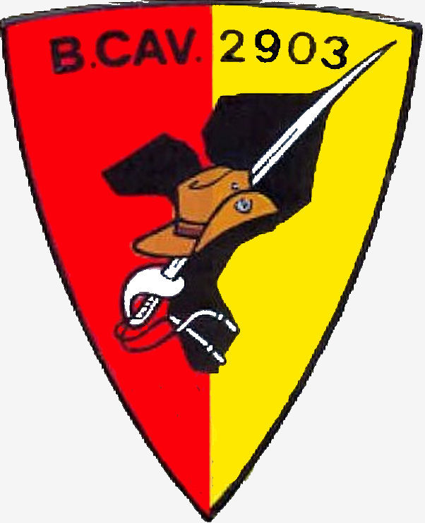 BCav2903