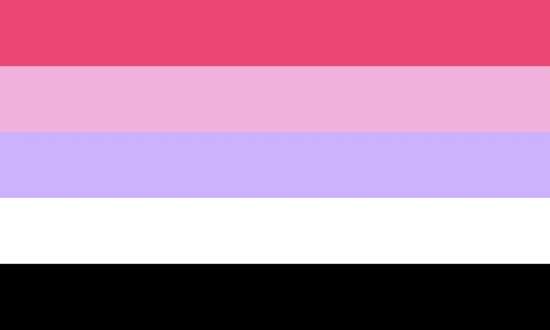Reciprosexual flag