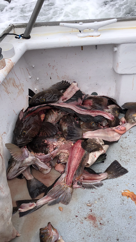 9A144CF1-E57B-4F62-81BE-9EF37534CABB