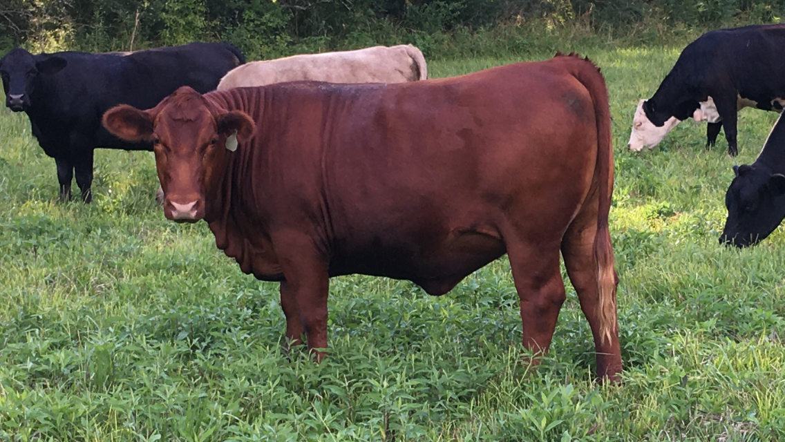 273D872F-69F0-465D-998A-C8EDCE1E5F40