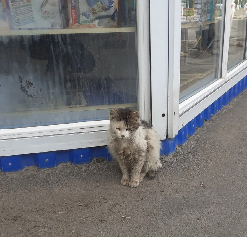 CD2A4387-EB69-4625-A47D-38A95964E21B