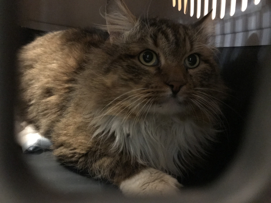 6CAFC113-AF15-4BE0-A9CC-9A38497128D6