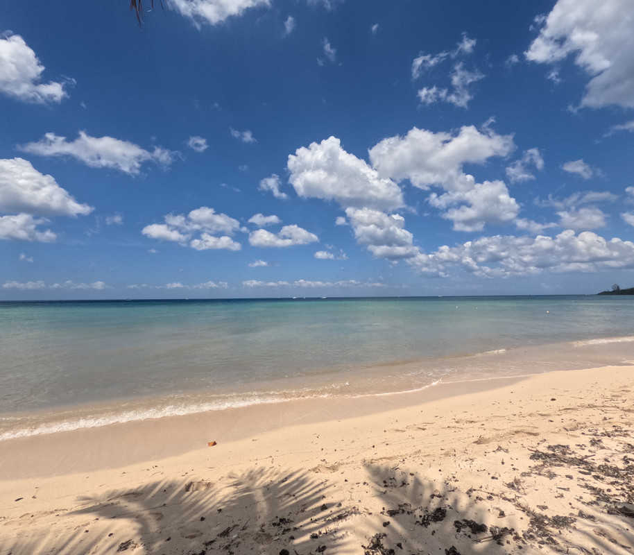 5DC393D4-9576-420A-9548-9D423734087F