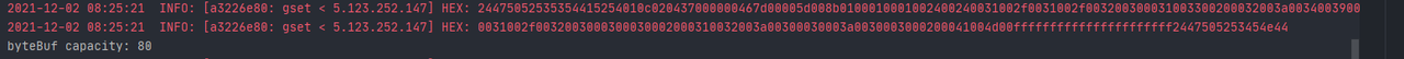 byteBuf.png
