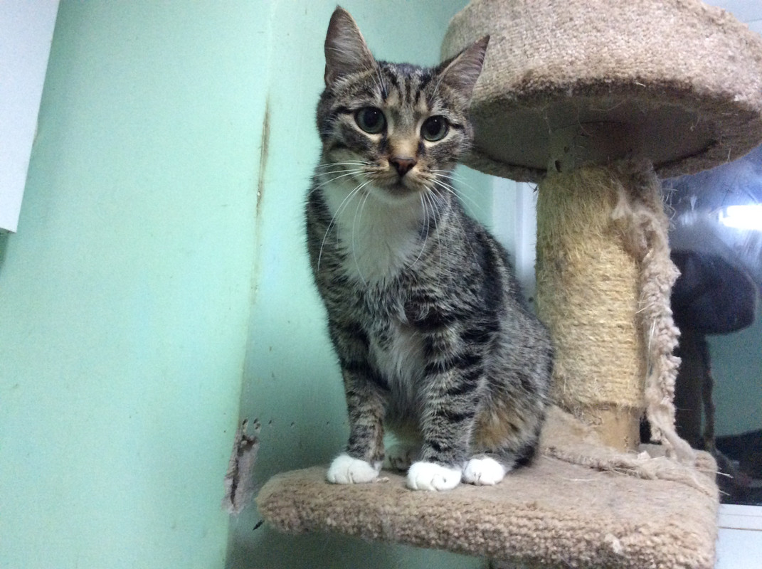 BA7100E5-CEC9-4BFD-89B7-3E1CF63E5581