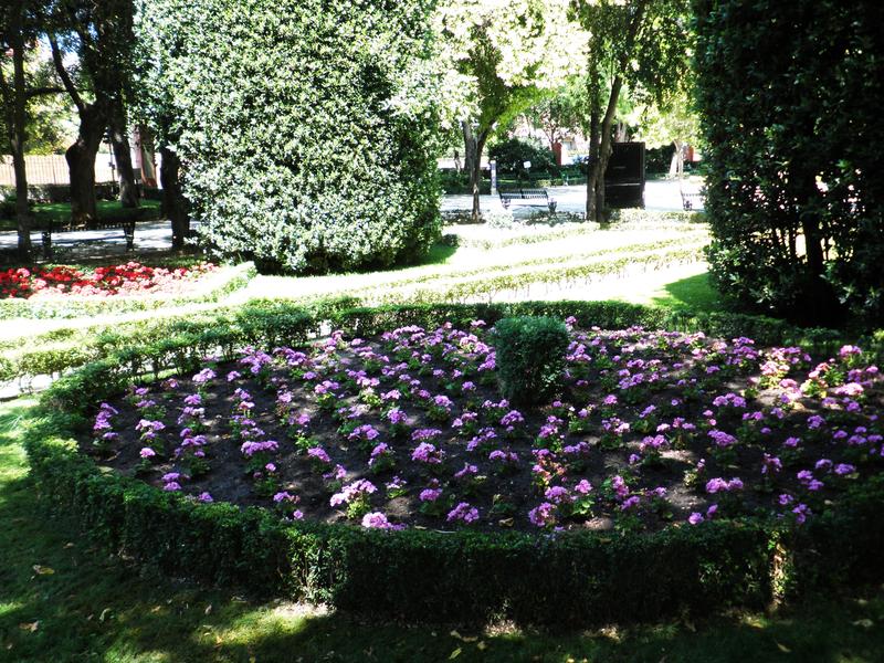 TALAVERA DE LA REINA 12 6 11 TOLEDO (79)