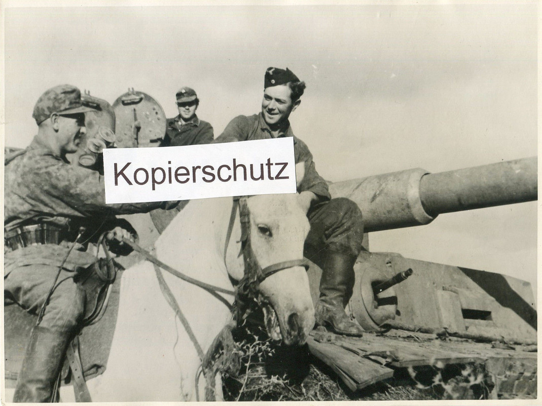 Panzer Typ Tiger , schw. Pz. Abt. , begrüßt