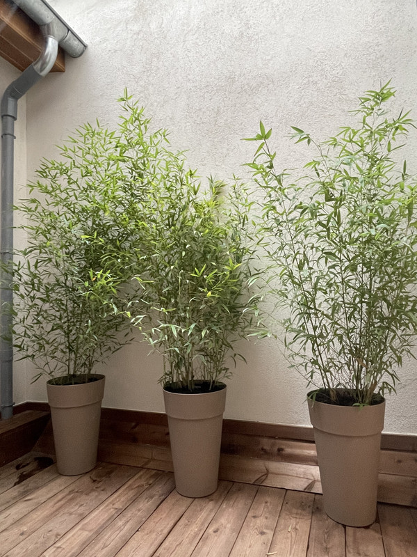 85952AB7-0851-4D93-B77A-5B817277FA2F