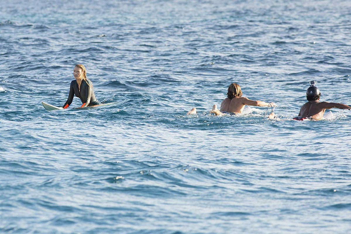The Shallows