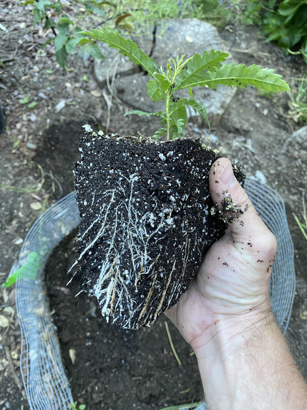 D6FD7551-3C32-4A44-B2B0-F02F55C754AD