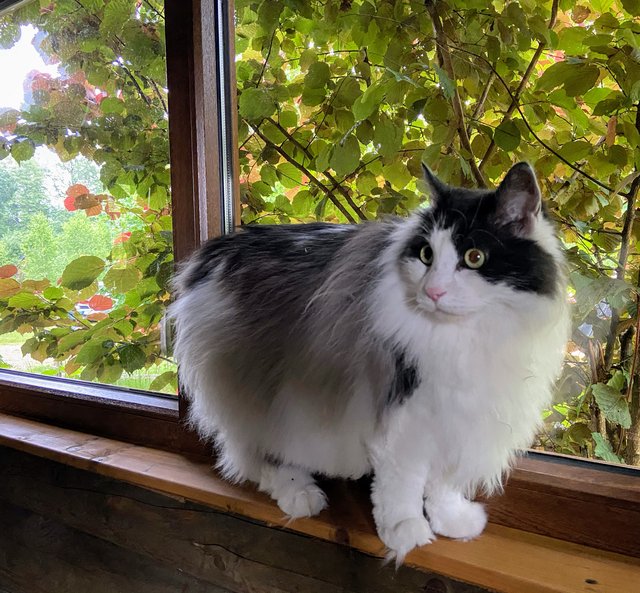 B4892286-D534-4835-BB77-206-ECF11347-E.j