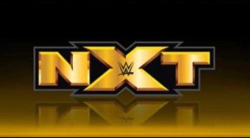 WWE NXT 22 October (2020) WEBRip English 480p [ 350MB ]