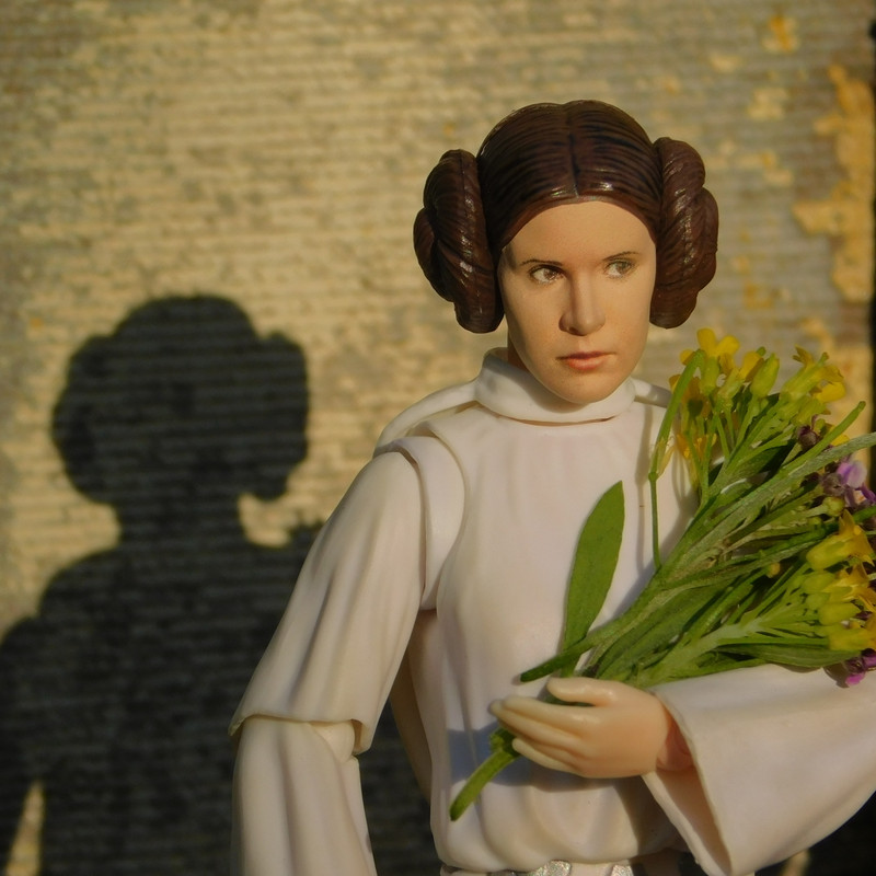 Дачно-Харлинский июнь-июль 2024 231