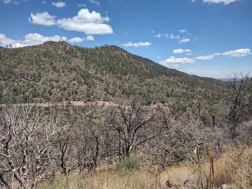IMG_20250704_132950912_HDR
