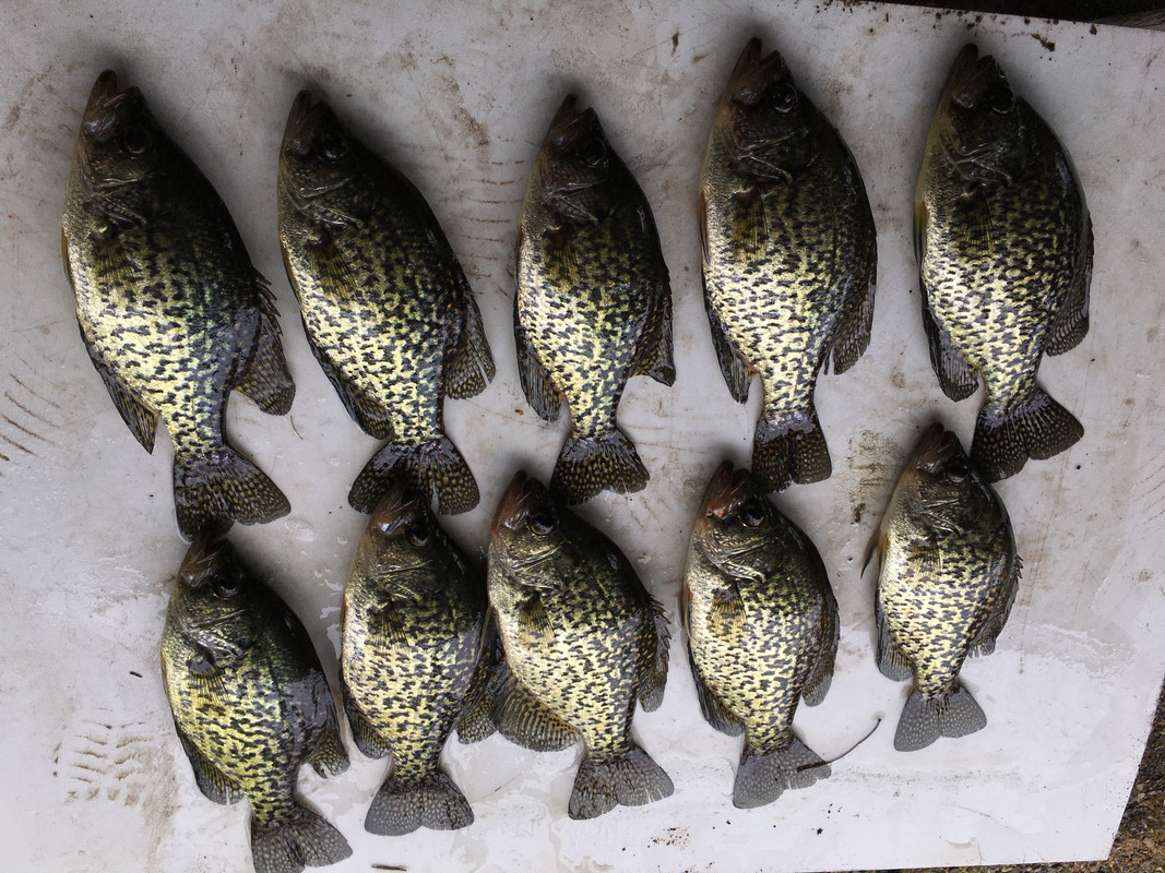 9529AE07-138E-4AC3-A4C9-18DFCA749E50