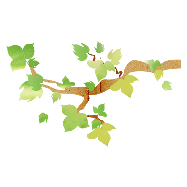 KBK_ForestSchool (17)