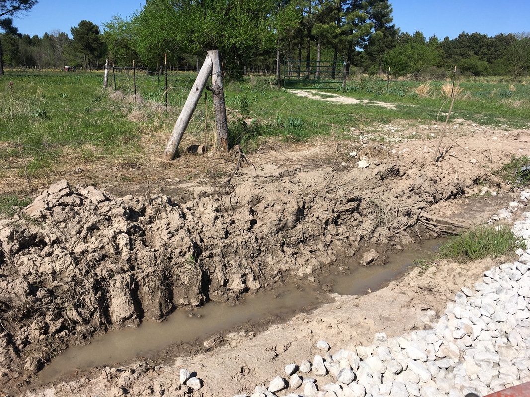 100EE993-9315-4B78-A802-97FB116EE5DA