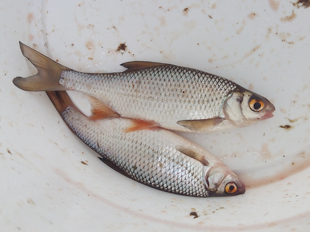 2-я Набережная 06.06.15