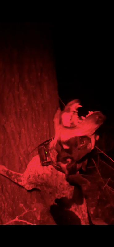 DF673DAF-54DF-40FF-B4E3-F09EF8D99B3B