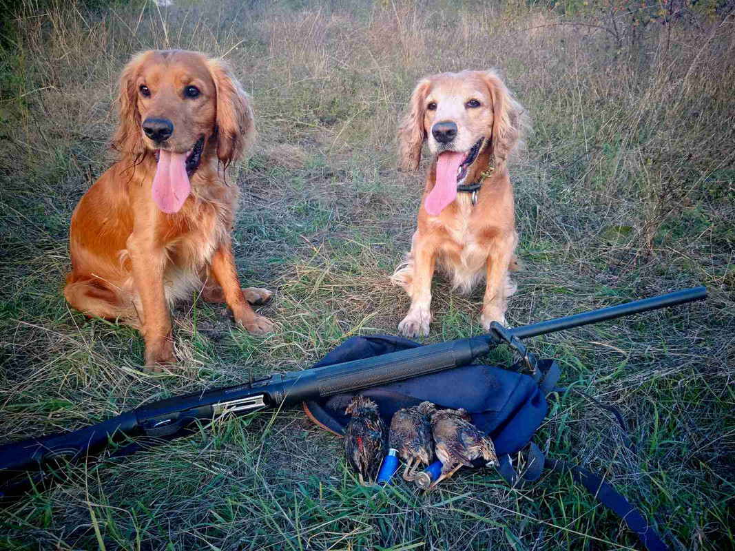 изображение_viber_2024-09-27_22-56-26-816