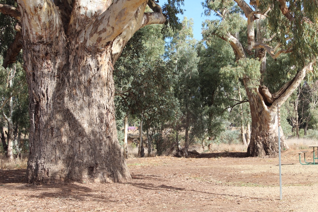 2021 Boys Googs Tk & Off-Track Desert Trip (175)