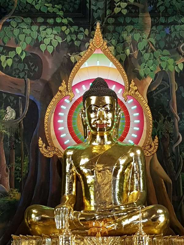 [Bild: 20190307-115332.jpg]