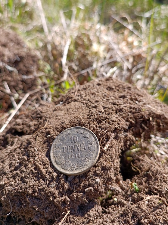 2022-05-21--10-penniä-2_2