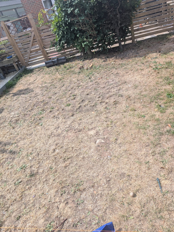 45a98418-570a-49b0-955d-218064d0163c