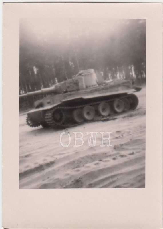 Orig. Foto zerstörter Panzer Tank PzKpfw. Tiger Osten Russland