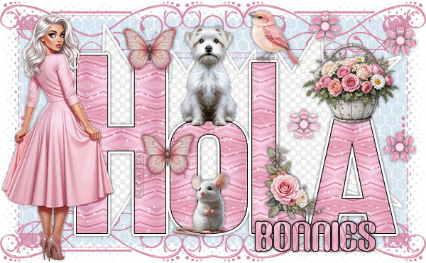 Hola Belle Femmine bonnies