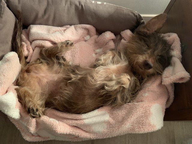 [Image: BA1-C67-E0-9-AB6-4-C37-8-B58-BC10-D4-FB220-C.jpg]