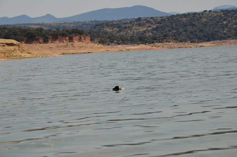 EMBALSE DE VALDECAÑAS-2019/2023 - Extremadura y sus pueblos -2010-2023 (18)