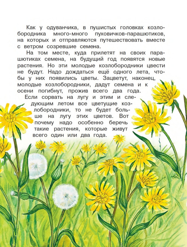 Onegov-Anatolij-Pochemu-kukushka-slozki-lot-page-0018