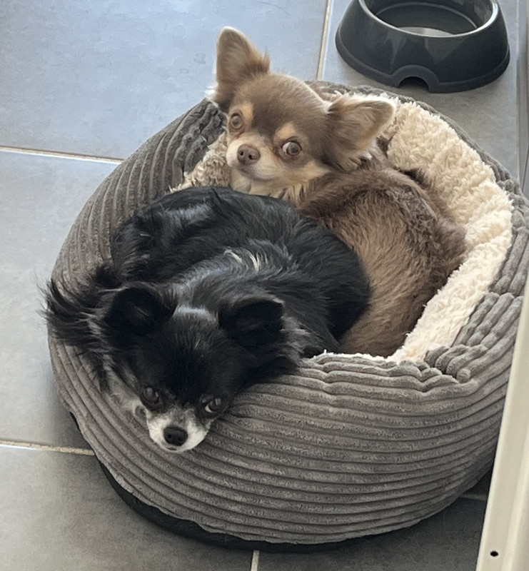 [Image: IMG-2964.jpg]