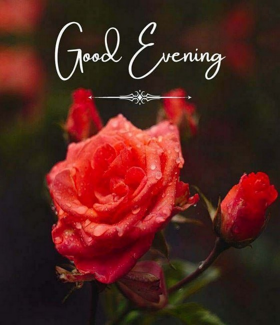 1a0402e2910c94ce4db4bb7ec00318ff