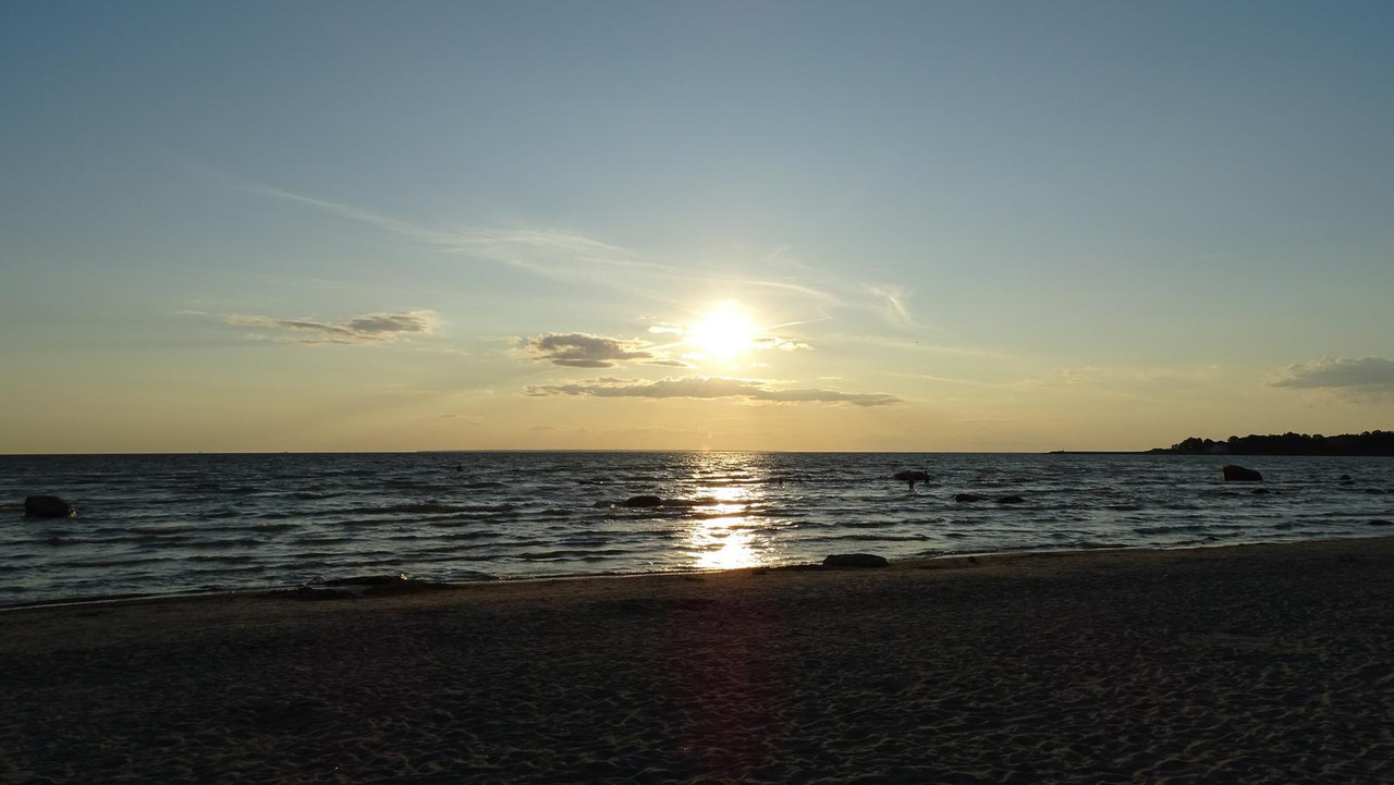 DSC01663.jpg