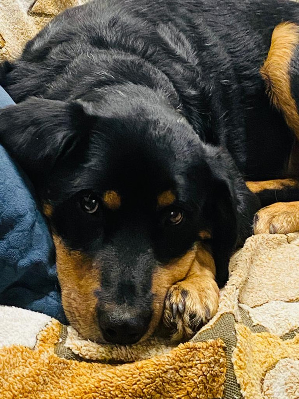 5F15FC0E-8DD2-4BDD-9410-E84F270A8511