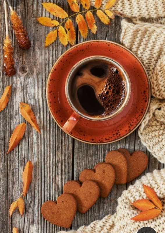 Screenshot_20230909_233544_Pinterest