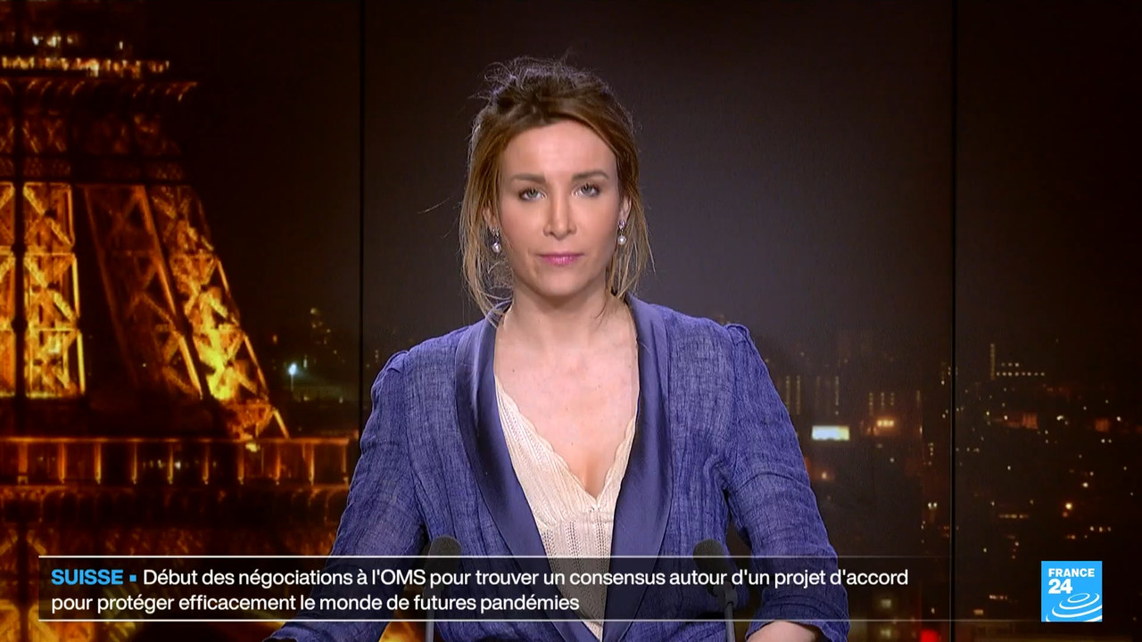 Le journal France 24 (FR) (France 24)_2024_04_29_04_25_25.ts_snapshot_06.03.097