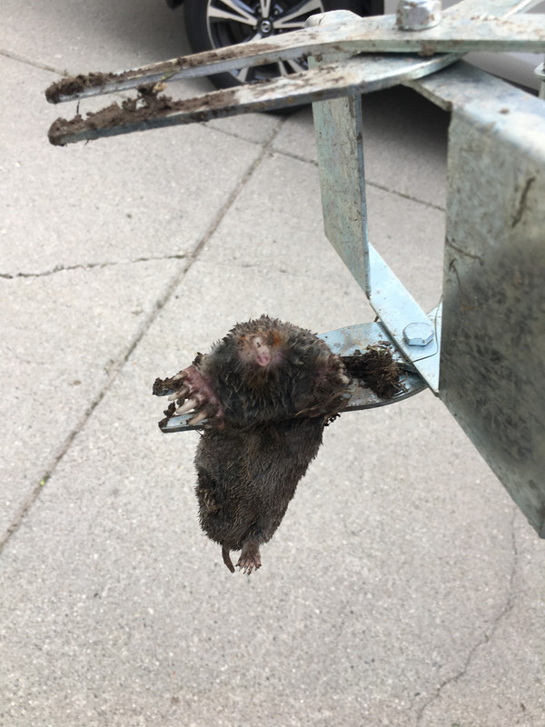 A0337722-300C-410A-914C-1D1580D4F730