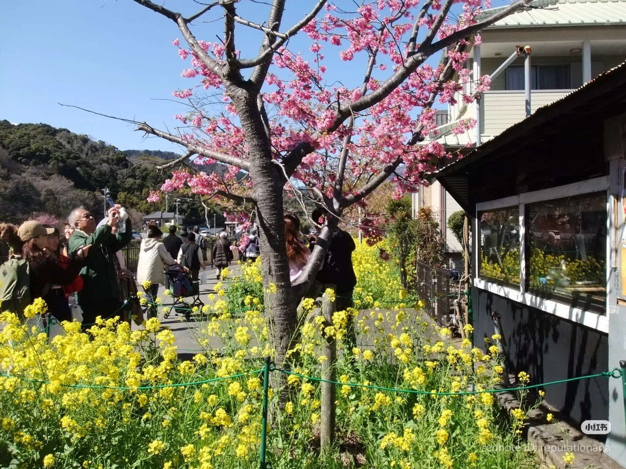 photo 22 2025 12 17 21 28 21