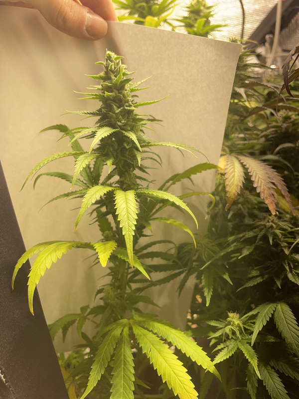 görsel 2026 03 05 181528648